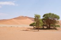 165-Namib Naukluft Park &ndash; &copy; Susanne Schirmann (Eberhardt TRAVEL)