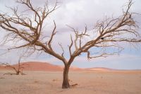 174- im Namib Naukluft Park &ndash; &copy; Susanne Schirmann (Eberhardt TRAVEL)