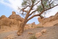 181-Sesriem Canyon &ndash; &copy; Susanne Schirmann (Eberhardt TRAVEL)