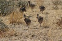 312-Familie Strauss. &ndash; &copy; Susanne Schirmann (Eberhardt TRAVEL)