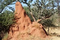 361-Namibia &ndash; &copy; Susanne Schirmann (Eberhardt TRAVEL)