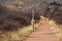 365-Namibia &ndash; &copy; Susanne Schirmann (Eberhardt TRAVEL)