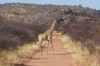 366-Namibia &ndash; &copy; Susanne Schirmann (Eberhardt TRAVEL)