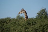 367-Namibia &ndash; &copy; Susanne Schirmann (Eberhardt TRAVEL)