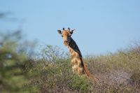 368-Namibia &ndash; &copy; Susanne Schirmann (Eberhardt TRAVEL)