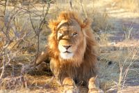 373-Namibia &ndash; &copy; Susanne Schirmann (Eberhardt TRAVEL)