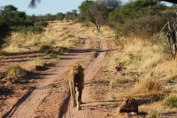 374-Namibia &ndash; &copy; Susanne Schirmann (Eberhardt TRAVEL)