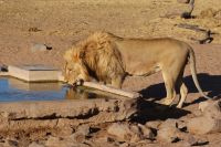 376-Namibia &ndash; &copy; Susanne Schirmann (Eberhardt TRAVEL)