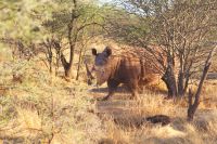 382-Namibia &ndash; &copy; Susanne Schirmann (Eberhardt TRAVEL)