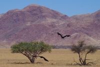 Go away &ndash; &copy; Annett Müller (Eberhardt TRAVEL)