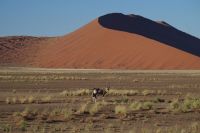 Ausflug ins Sossusvlei &ndash; &copy; Annett Müller (Eberhardt TRAVEL)