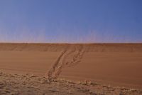 vom Winde verweht &ndash; &copy; Annett Müller (Eberhardt TRAVEL)