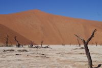 Dead Vlei &ndash; &copy; Annett Müller (Eberhardt TRAVEL)