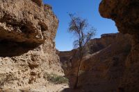 Sesriem Canyon &ndash; &copy; Annett Müller (Eberhardt TRAVEL)