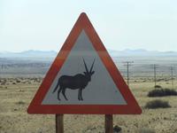 Vorsicht! Oryx &ndash; &copy; Madlen Lippe (Eberhardt TRAVEL)