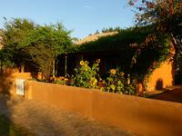 Damara Mopane Lodge &ndash; &copy; Madlen Lippe (Eberhardt TRAVEL)