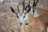 &copy; Kerstin Heintzel (Eberhardt TRAVEL)