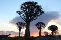 &copy; Kerstin Heintzel (Eberhardt TRAVEL)