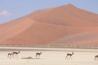 &copy; Kerstin Heintzel (Eberhardt TRAVEL)