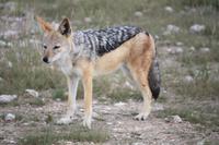 &copy; Kerstin Heintzel (Eberhardt TRAVEL)