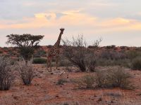 &copy; Nicole Madeleine Ogola (Eberhardt TRAVEL)