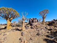 &copy; Nicole Madeleine Ogola (Eberhardt TRAVEL)
