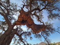 &copy; Nicole Madeleine Ogola (Eberhardt TRAVEL)