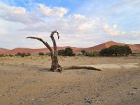 &copy; Nicole Madeleine Ogola (Eberhardt TRAVEL)