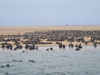 &copy; Nicole Madeleine Ogola (Eberhardt TRAVEL)