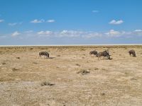 &copy; Nicole Madeleine Ogola (Eberhardt TRAVEL)