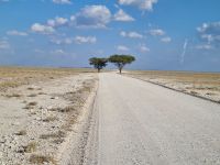 &copy; Nicole Madeleine Ogola (Eberhardt TRAVEL)