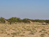 &copy; Nicole Madeleine Ogola (Eberhardt TRAVEL)
