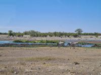 &copy; Nicole Madeleine Ogola (Eberhardt TRAVEL)