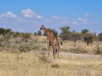 &copy; Nicole Madeleine Ogola (Eberhardt TRAVEL)