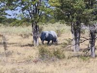 &copy; Nicole Madeleine Ogola (Eberhardt TRAVEL)