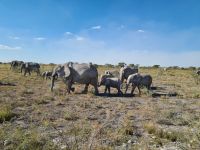&copy; Nicole Madeleine Ogola (Eberhardt TRAVEL)