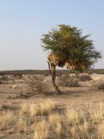 &copy; Diana Mendel (Eberhardt TRAVEL)