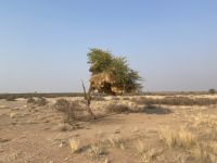 &copy; Diana Mendel (Eberhardt TRAVEL)