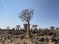 &copy; Diana Mendel (Eberhardt TRAVEL)