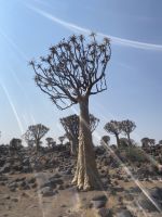 &copy; Diana Mendel (Eberhardt TRAVEL)
