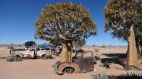 Canyon Roadhouse (3) &ndash; &copy; Annika Lembke (Eberhardt TRAVEL)