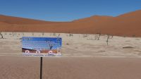 Dead Vlei im Namib Naukluft Nationalpark (2) &ndash; &copy; Annika Lembke (Eberhardt TRAVEL)