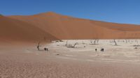 Dead Vlei im Namib Naukluft Nationalpark (3) &ndash; &copy; Annika Lembke (Eberhardt TRAVEL)
