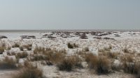 Etosha Salzpfanne &ndash; &copy; Annika Lembke (Eberhardt TRAVEL)
