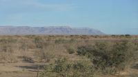 Fahrt in Richtung Fish River Canyon (2) &ndash; &copy; Annika Lembke (Eberhardt TRAVEL)