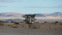Fahrt nach Swakopmund (3) &ndash; &copy; Annika Lembke (Eberhardt TRAVEL)