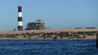 Katamaranfahrt in der Walvis Bay (3) &ndash; &copy; Annika Lembke (Eberhardt TRAVEL)