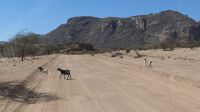 Lebendiges Museum der San (2) &ndash; &copy; Annika Lembke (Eberhardt TRAVEL)