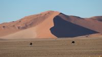 Namib Naukluft Nationalpark (1) &ndash; &copy; Annika Lembke (Eberhardt TRAVEL)