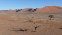 Namib Naukluft Nationalpark (2) &ndash; &copy; Annika Lembke (Eberhardt TRAVEL)
